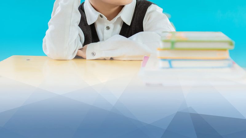 学历提升代理加盟，协议内容解析**
