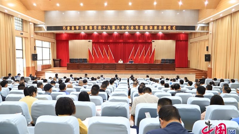 保育员资格证考试题型揭秘：题型分布与备考策略